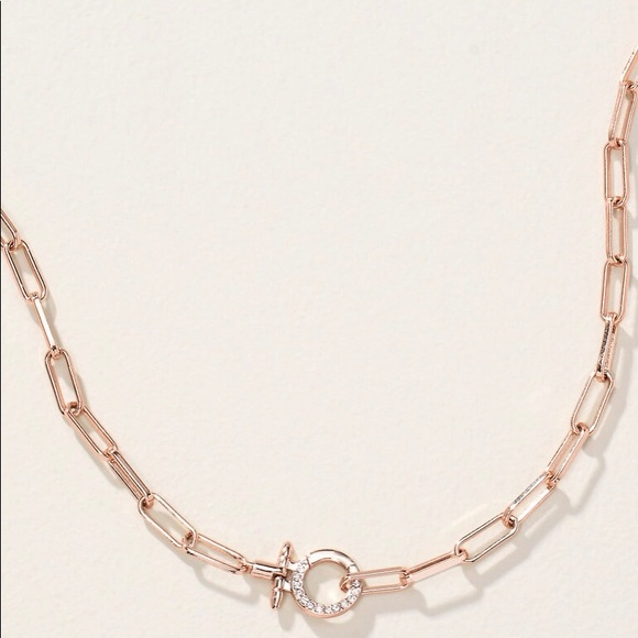 Stella & Dot Jewelry - NWT Stella & Dot Delicate Short Charm Keeper